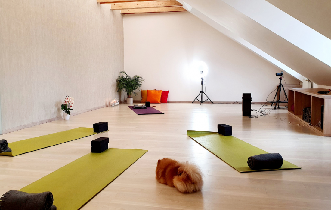 Zo života TVOJA JOGA| novemer 2020